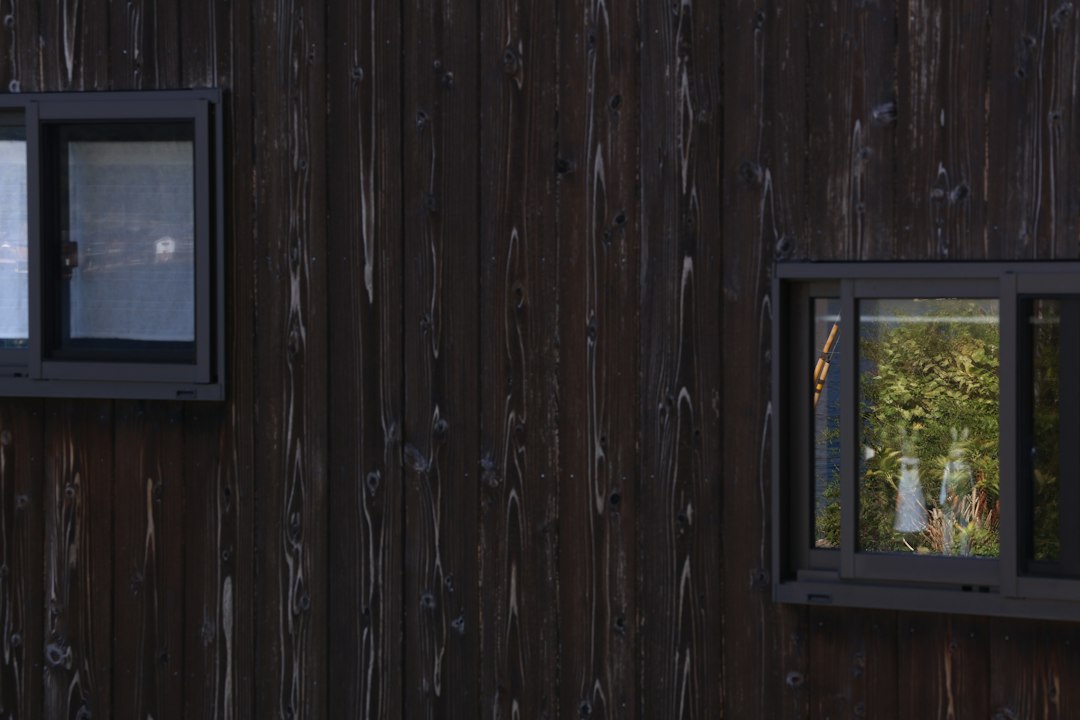 Dark wood siding with modern windows
