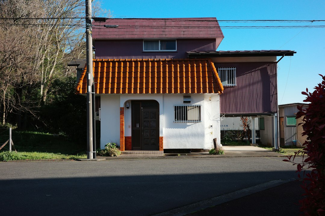 Roof line against a pale exterior