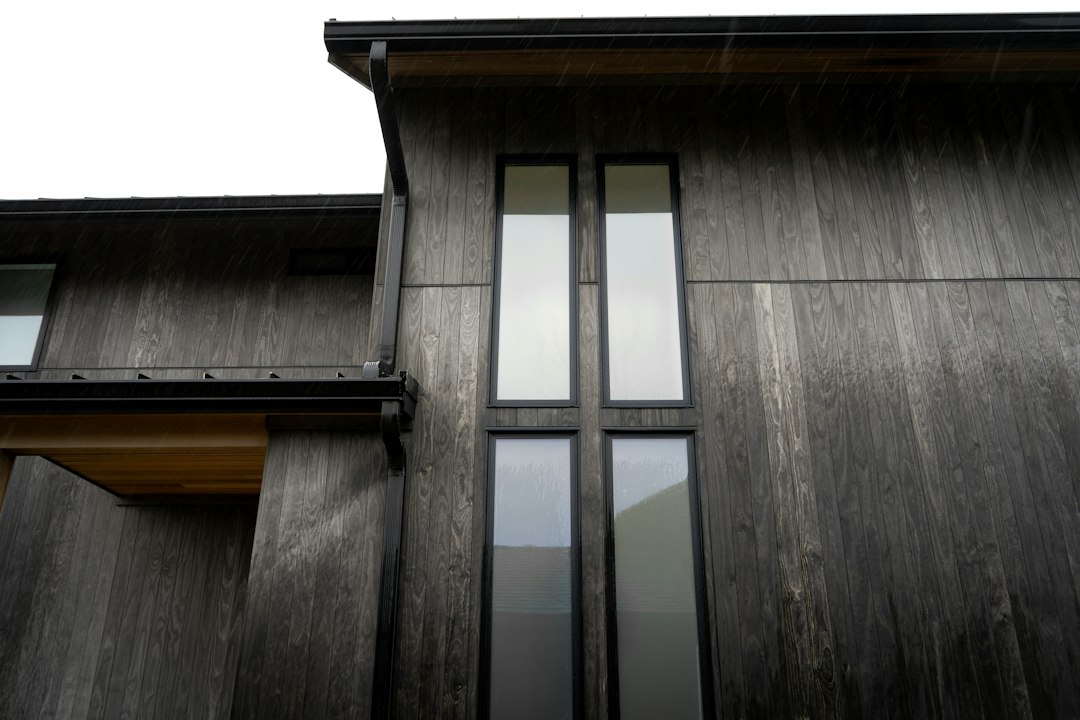 Tall narrow windows in a modern facade